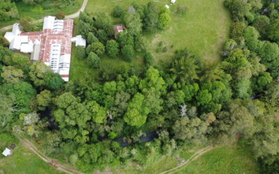 La casa camino a Caivico (o Faja 24.000